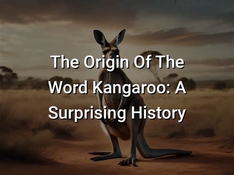 The Origin Of The Word Kangaroo: A Surprising History.